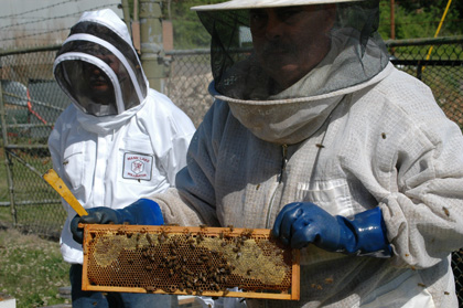 Displaying a Honey Super Frame